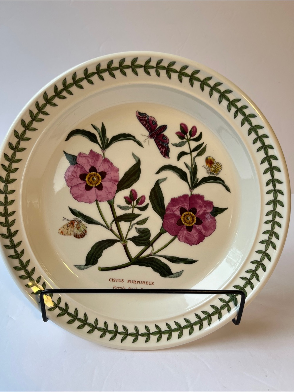 Portmeirion NWT Salad plate The Botanic Garden Cistus Purpureus Purple Rock Rose